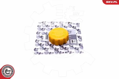 Cap, coolant tank Ford SCORPIO I · Ford SCORPIO I Saloon · Ford SIERRA II Hatchback