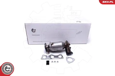 Catalytic Converter Skoda FABIA I · Skoda FABIA I Combi · Skoda FABIA I Saloon