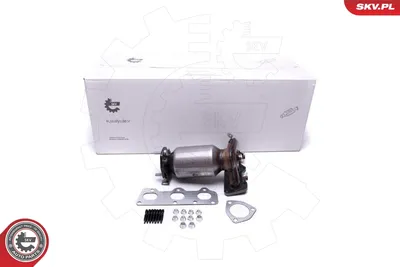 Catalytic Converter Seat IBIZA III · Vw POLO IV