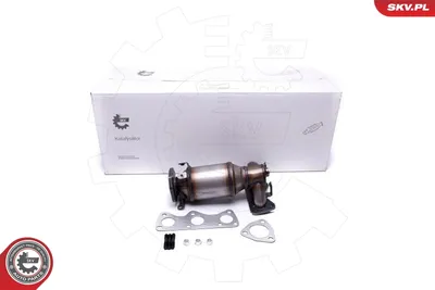 Catalytic Converter Seat IBIZA III · Skoda FABIA I · Skoda FABIA I Combi