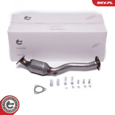 Catalyst, universal ESEN SKV 62SKV020