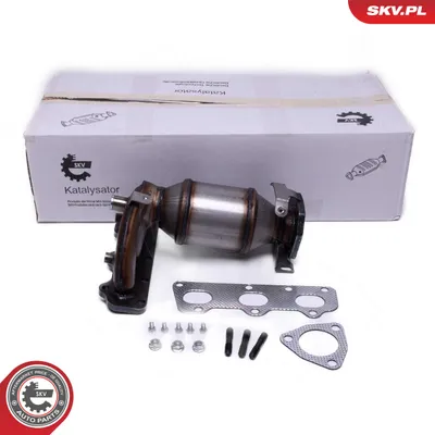 Catalytic Converter Seat IBIZA III · Skoda FABIA I · Skoda FABIA I Combi