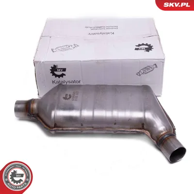 Catalyst, universal ESEN SKV 62SKV041