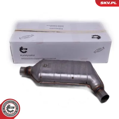 Catalyst, universal ESEN SKV 62SKV043