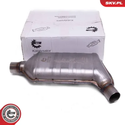 Catalyst, universal ESEN SKV 62SKV044