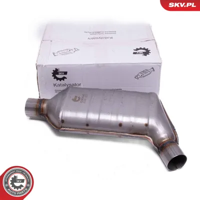Catalyst, universal ESEN SKV 62SKV045