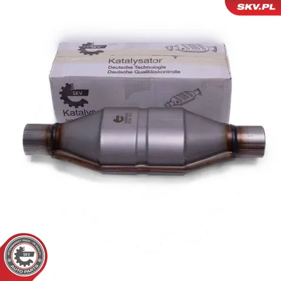 Catalyst, universal ESEN SKV 62SKV048