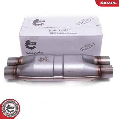 Catalyst, universal ESEN SKV 62SKV055