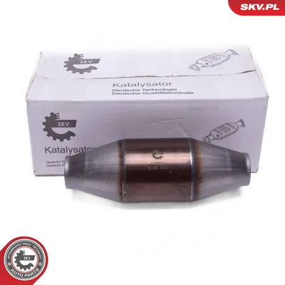 Catalyst, universal ESEN SKV 62SKV056