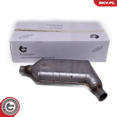 Catalyst, universal ESEN SKV 62SKV076