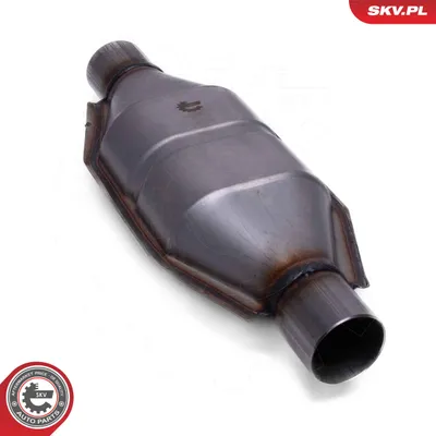 Catalyst, universal ESEN SKV 62SKV080