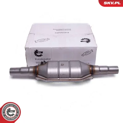 Catalyst, universal ESEN SKV 62SKV082