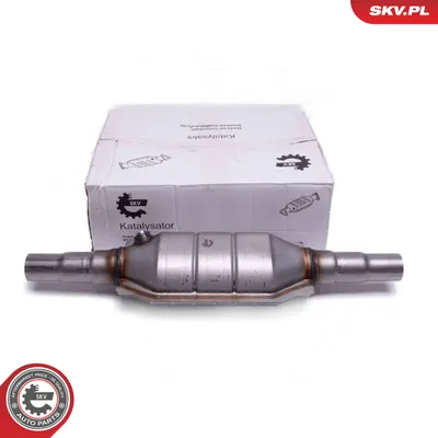Catalyst, universal ESEN SKV 62SKV083