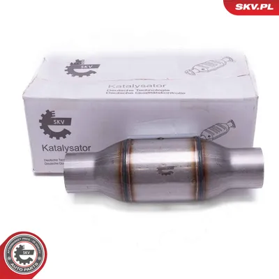 Catalyst, universal ESEN SKV 62SKV092