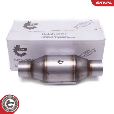 Catalyst, universal ESEN SKV 62SKV095