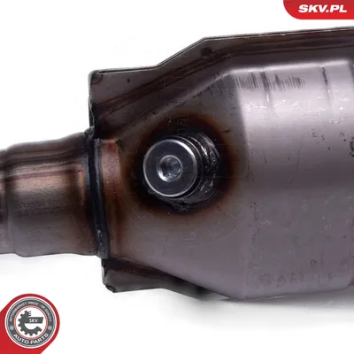 Catalyst, universal ESEN SKV 62SKV113