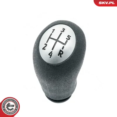 Gear Shift Lever Knob Renault MEGANE II · Renault SCÉNIC II · Renault MEGANE II Coupé-Cabriolet