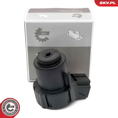 Ignition Switch Seat IBIZA IV · Seat IBIZA IV SC · Seat IBIZA IV ST