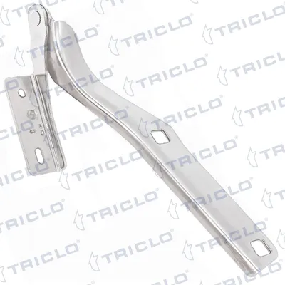 Hinge, bonnet Citroën BERLINGO MULTISPACE · Citroën BERLINGO Box Body/MPV · Citroën BERLINGO Platform/Chassis