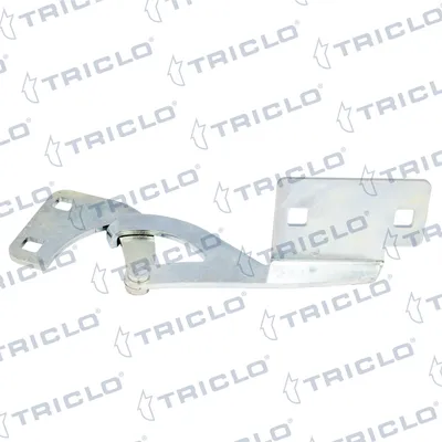 Hinge, bonnet Citroën BERLINGO / BERLINGO FIRST Box Body/MPV · Citroën BERLINGO / BERLINGO FIRST MPV · Peugeot PARTNER Box Body/MPV
