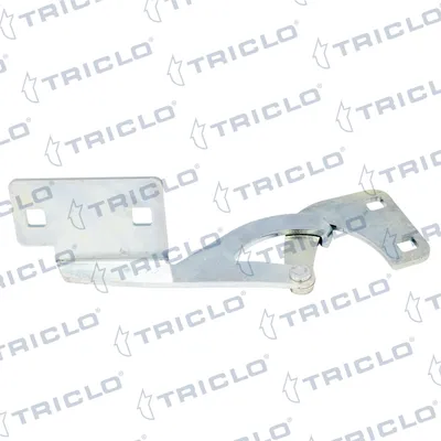 Hinge, bonnet Citroën BERLINGO / BERLINGO FIRST Box Body/MPV · Citroën BERLINGO / BERLINGO FIRST MPV · Peugeot PARTNER Box Body/MPV