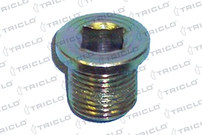 Screw Plug, oil sump Renault ESPACE I · Renault 12 · Renault 18