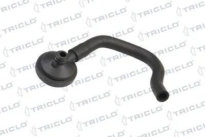 Oil Separator, crankcase ventilation Renault KANGOO · Renault CLIO II · Dacia LOGAN
