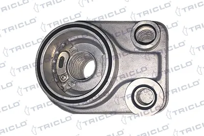 Oil Cooler, engine oil Renault KANGOO · Renault CLIO II · Renault KANGOO Express