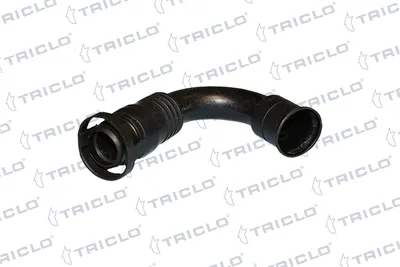 Hose, cylinder head cover ventilation Audi A3 · Seat CORDOBA · Seat IBIZA II