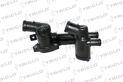 Thermostat box TRICLO 462742