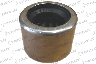 Bearing, manual TRICLO 625077 gearbox
