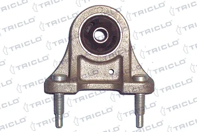 Suspension, body of the TRICLO 781509 axis