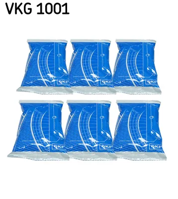 SKF VKG 1001 fat