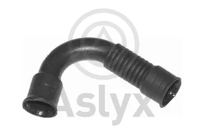 Hose, cylinder head cover ventilation Audi A3 · Seat TOLEDO II · Seat LEON