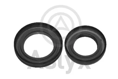 Shaft Seal, differential Citroën C5 I
