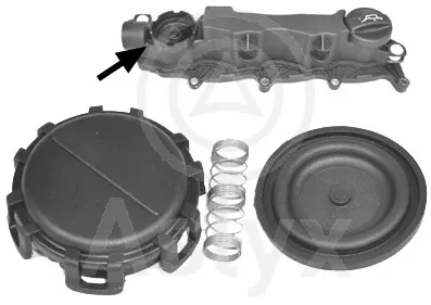 Cylinder Head Cover Citroën BERLINGO / BERLINGO FIRST Box Body/MPV · Citroën BERLINGO / BERLINGO FIRST MPV · Citroën XSARA PICASSO