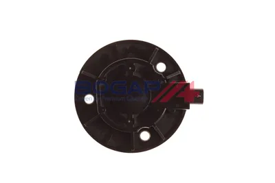 Central Magnet, camshaft adjustment Vw BEETLE · Audi A3 · Audi A3 Sportback