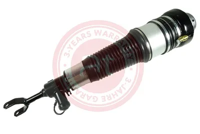Air Suspension Strut Audi A6 C6 · Audi A6 C6 Avant · Audi A6 Allroad C6