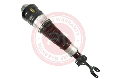Air Suspension Strut Audi A6 C6 · Audi A6 C6 Avant · Audi A6 Allroad C6