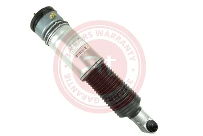 Air Suspension Strut Bmw 7