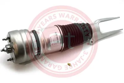 Air Suspension Strut Porsche PANAMERA