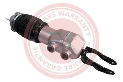 Air Suspension Strut Porsche PANAMERA