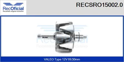 Rotor, alternator