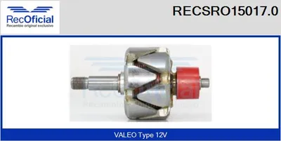 Rotor, alternator