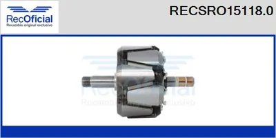 Rotor, alternator