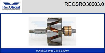 Rotor, alternator