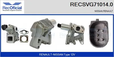 EGR Valve Renault MEGANE II · Renault SCÉNIC II · Renault MEGANE II Coupé-Cabriolet