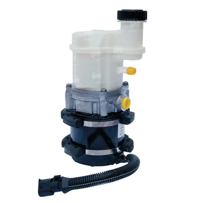 Hydraulic Pump, steering Renault KANGOO Express · Renault RAPID Box Body/MPV · Nissan KUBISTAR Van