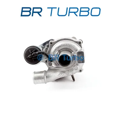 Charger, charging (supercharged/turbocharged) Renault KANGOO Express · Nissan KUBISTAR Van · Renault CLIO III Hatchback Van