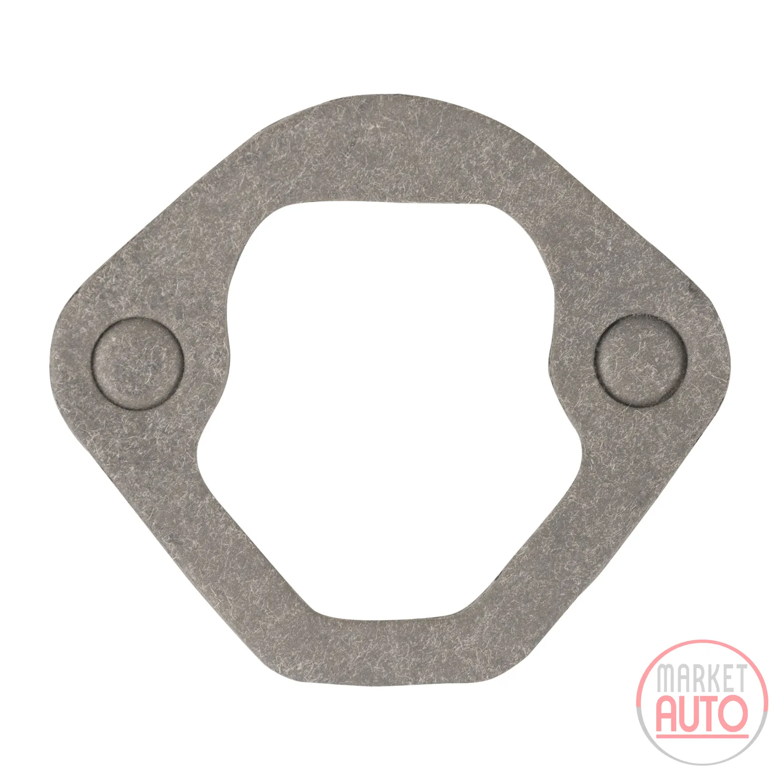 Fuel pump seal